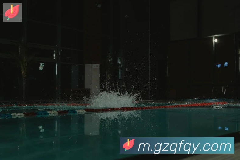 多媒体互动体验